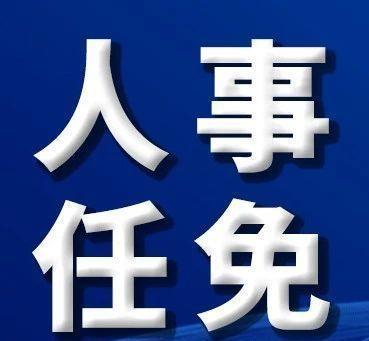 桦甸市最新人事任免，构建新时代领导团队